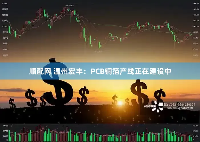 顺配网 温州宏丰：PCB铜箔产线正在建设中