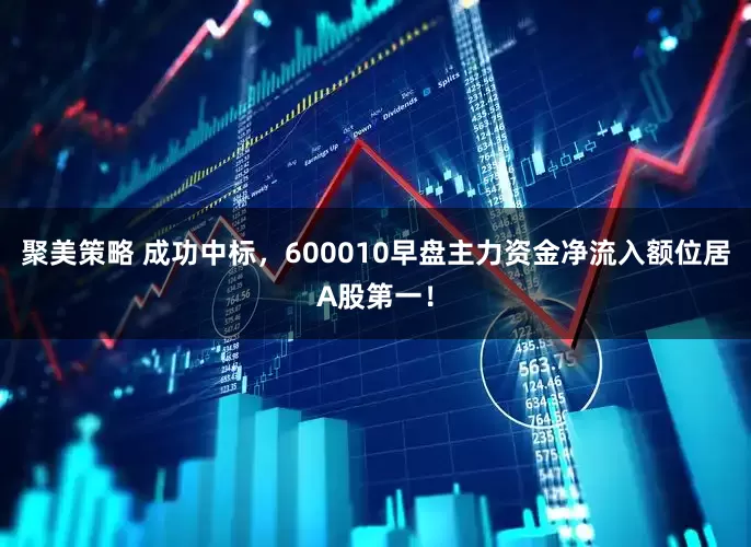 聚美策略 成功中标，600010早盘主力资金净流入额位居A股第一！