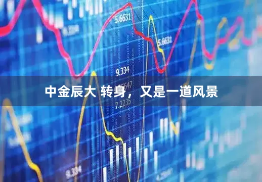 中金辰大 转身，又是一道风景