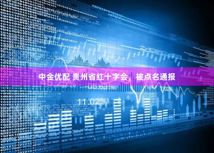 中金优配 贵州省红十字会，被点名通报