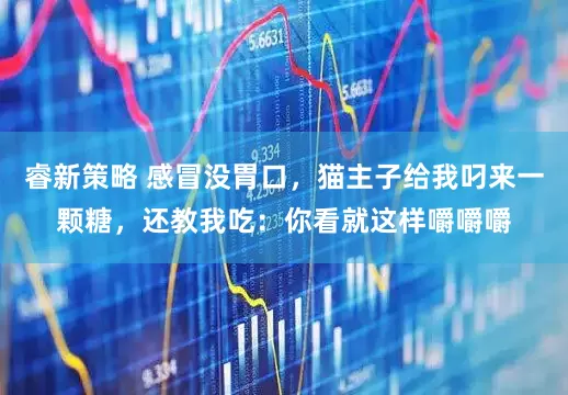 睿新策略 感冒没胃口，猫主子给我叼来一颗糖，还教我吃：你看就这样嚼嚼嚼