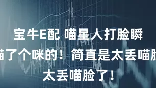宝牛E配 喵星人打脸瞬间 喵了个咪的！简直是太丢喵脸了！